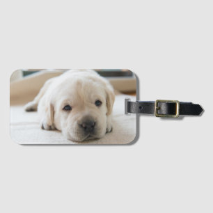 Golden Labrador Welpe Gepäckanhänger