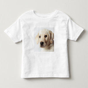 Golden Labrador Welpe Kleinkind T-shirt