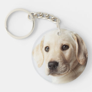 Golden Labrador Welpe Schlüsselanhänger