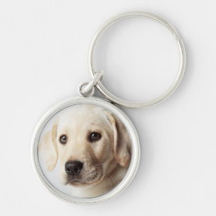 Golden Labrador Welpe Schlüsselanhänger