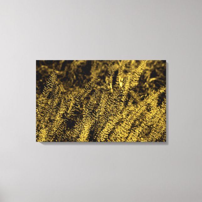 Golden Light Grass Canvas Print Leinwanddruck (Vorderseite)