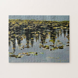 Golden Lily Pads Puzzle