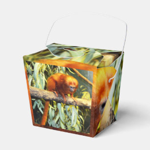 Golden Lion Tamarin, Gastgeschenk Box Geschenkschachtel