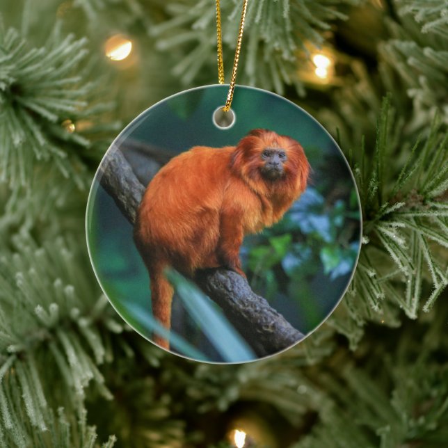 Golden Lion Tamarin Keramik Ornament (Baum)