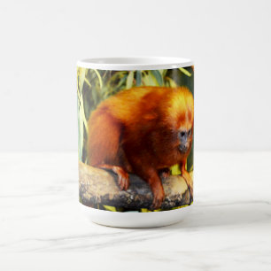 Golden Lion Tamarin Observed, Tee Tasse