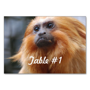 Golden Lion Tamarin Tischnummer