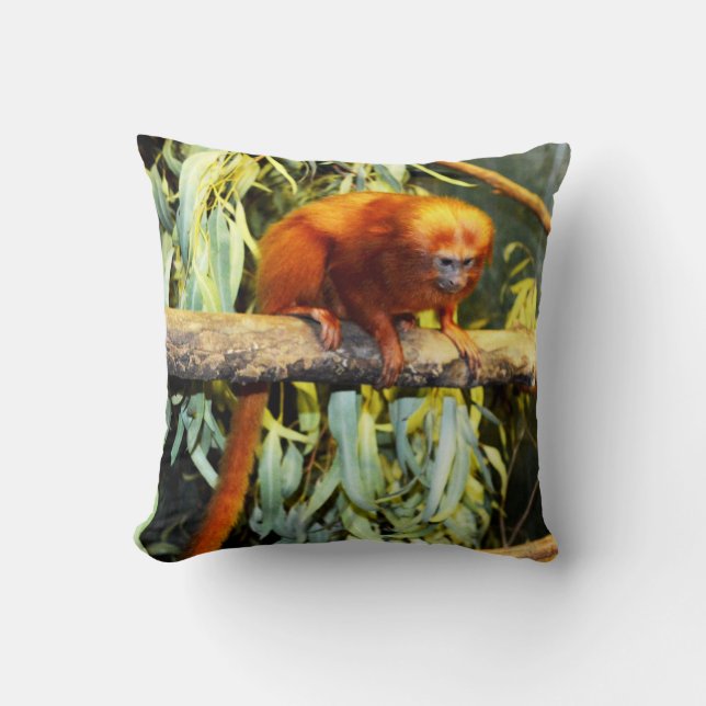 Golden Lion Tamarin Was auf, Kissen (Vorderseite)