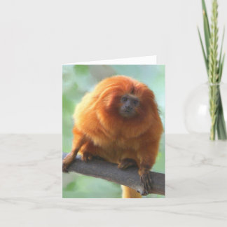 Golden-Löwe Tamarin-Mitteilungskarten Karte