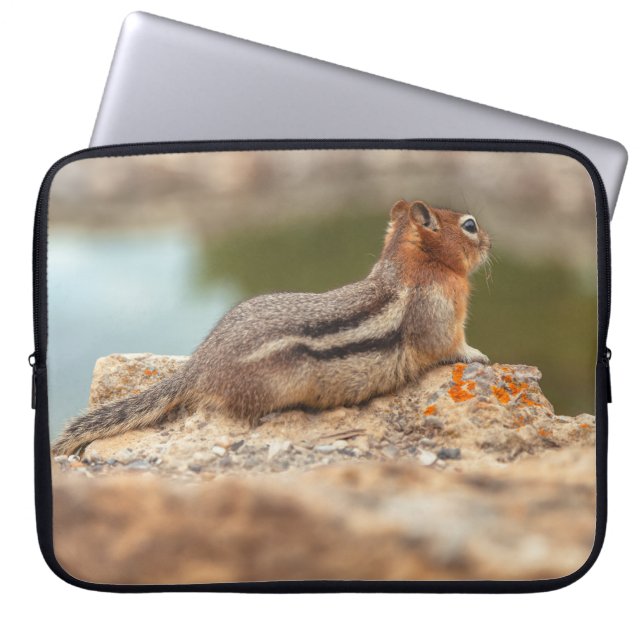 Golden Mantle Eichhörnchen Laptopschutzhülle (Vorderseite)