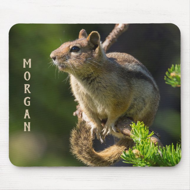 Golden Mantled Ground Eichhörnchen Mousepad (Vorne)