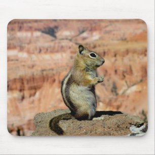 Golden Mantled Ground Squirrel Mousepad