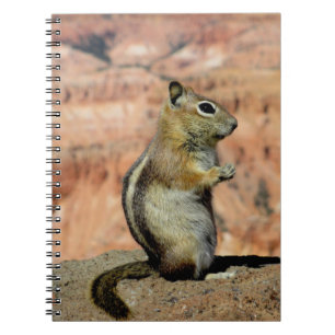 Golden Mantled Ground Squirrel Notizblock