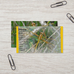 Golden Meadowhawawawi Dragonfly Business Card Visitenkarte