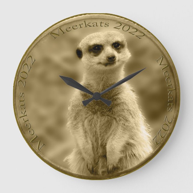 Golden Meerkat 2022 Coin, große Rundwand Uhr (Vorderseite)