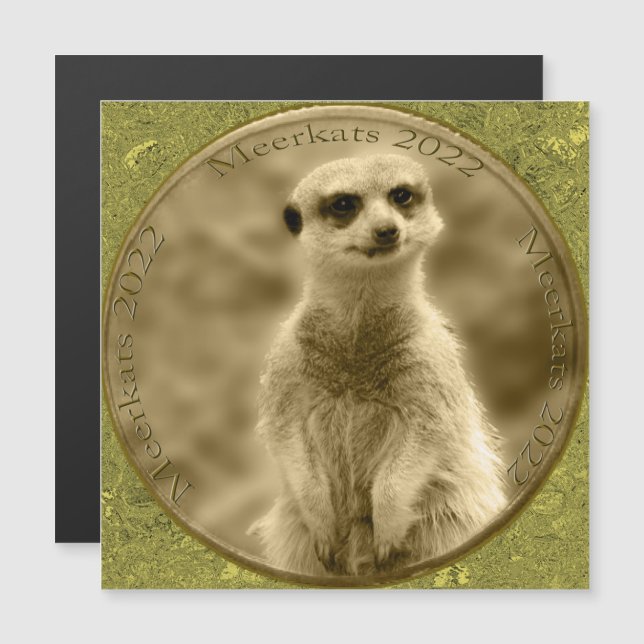 Golden Meerkat 2022 Coin, Magnetkarte (Vorne/Hinten)