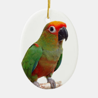 Golden-mit einer Kappe bedecktes conure Keramikornament