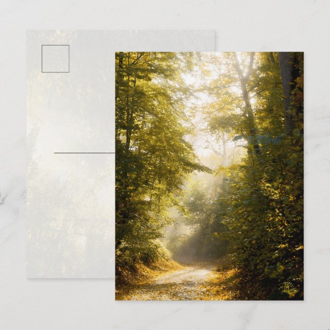 Golden Morning park, Original Fine Art Photograph Postkarte (Vorne/Hinten)