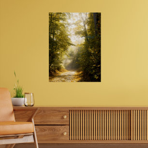 Golden Morning Park, Original-Foto-Kunstfotografie Poster