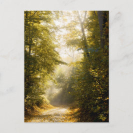 Golden Morning Park, Originale Kunstfotografie Postkarte