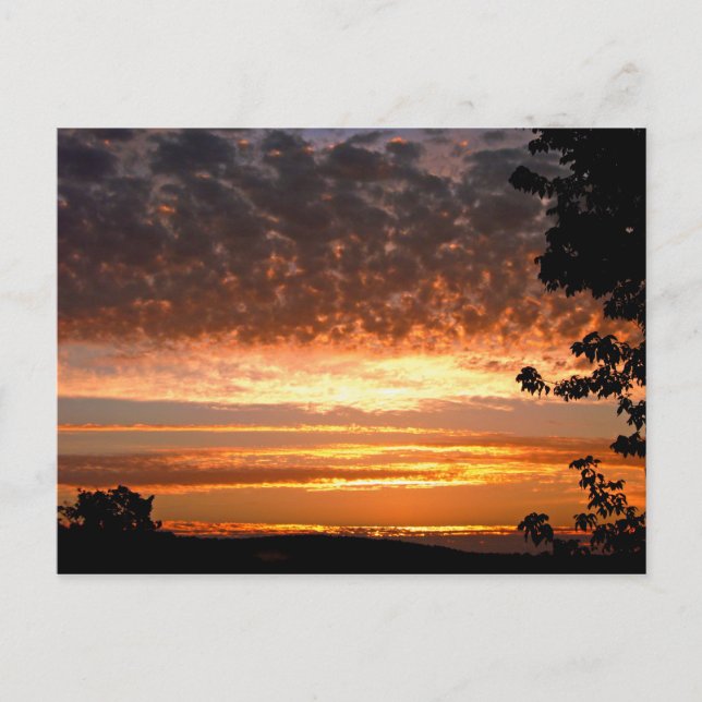 Golden Morning Postkarte (Vorderseite)