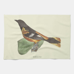 Golden oder Baltimore Oriole (Icterus galbula) Geschirrtuch