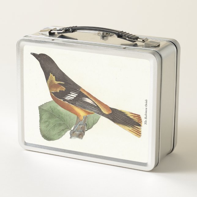 Golden oder Baltimore Oriole (Icterus galbula) Metall Brotdose (Rückseite)