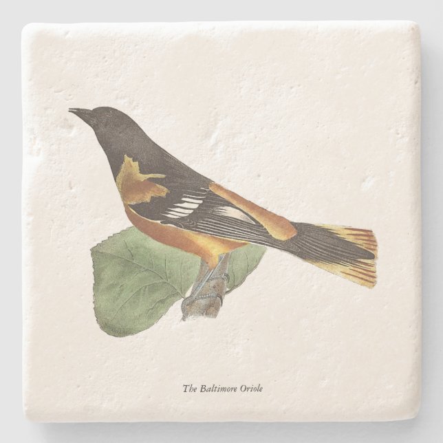 Golden oder Baltimore Oriole (Icterus galbula) Steinuntersetzer (Vorderseite)