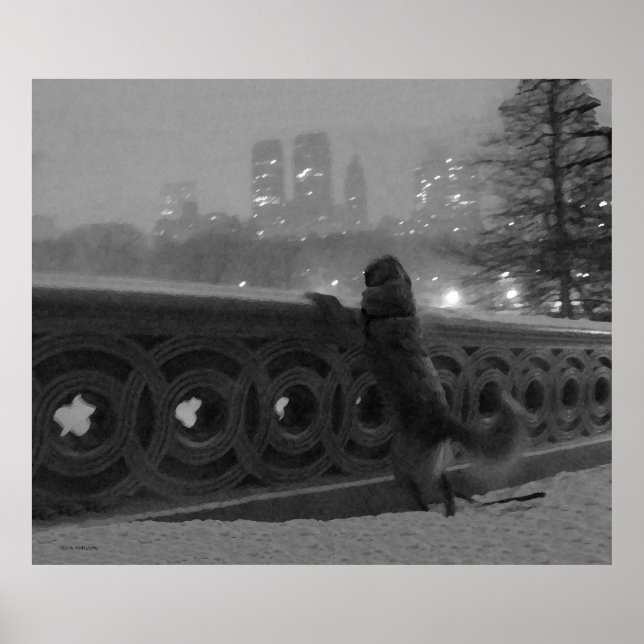 Golden on Bow Bridge in Snow Poster (Vorne)