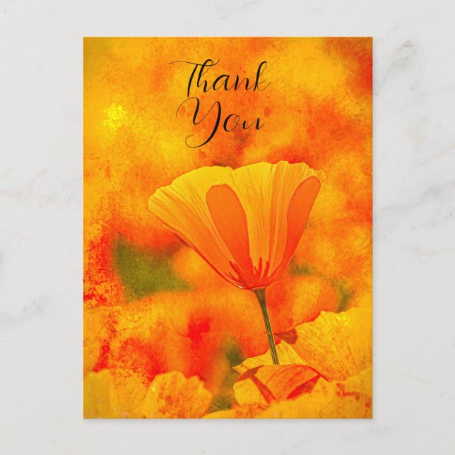 Golden Orange California Mohn "Land of Orange" Postkarte (Vorderseite)