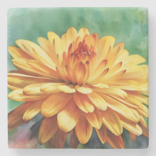 Golden Orange Mum Blume Herbst Kulturpass Bellinzo Steinuntersetzer