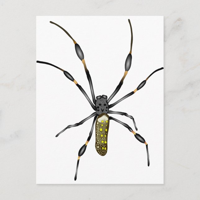 Golden Orb Spider Postkarte (Vorderseite)