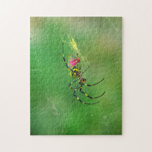 Golden Orb Weaver Spider Puzzle