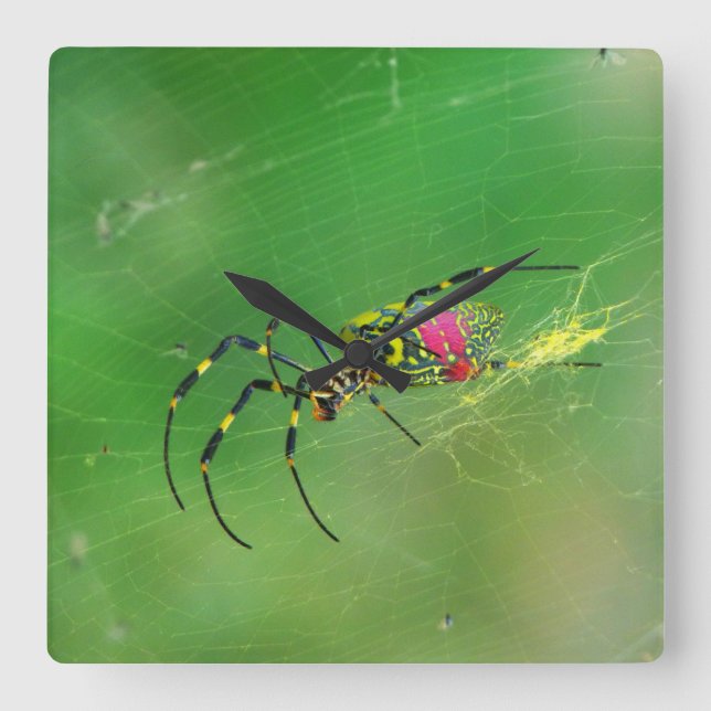 Golden Orb Weaver Spinne Wall Clock Quadratische Wanduhr (Vorderseite)