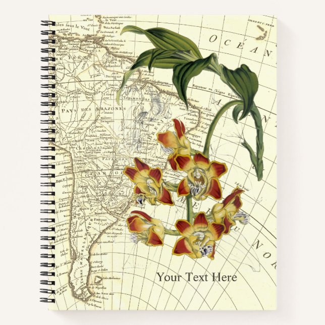 Golden Orchid Explorer-Notebook Notizbuch (Vorderseite)