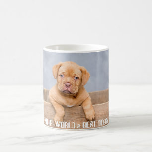 Golden Pitbull-Welpe   Personalisierter Name & Fot Kaffeetasse