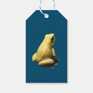 Golden Poison Frog Geschenkanhänger