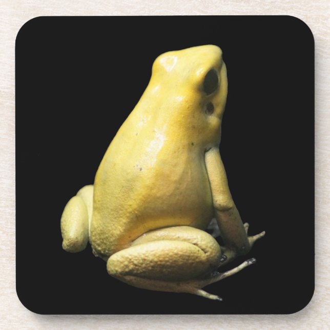 Golden Poison Frog Getränkeuntersetzer (Vorderseite)