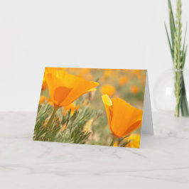 Golden Poppies Karte