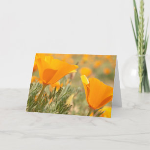 Golden Poppies Karte
