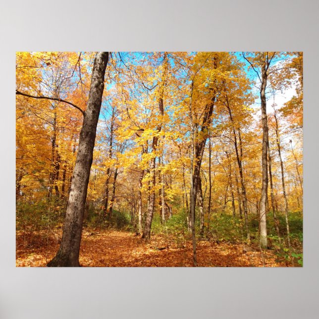 Golden Poster (Vorne)