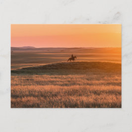 Golden Prairie Party Invitation - Classic Western  Postkarte