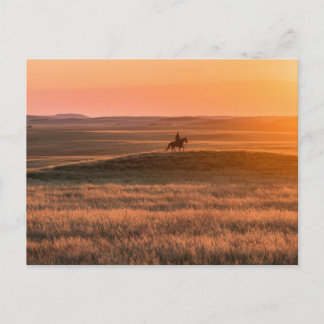 Golden Prairie Party Invitation - Classic Western  Postkarte