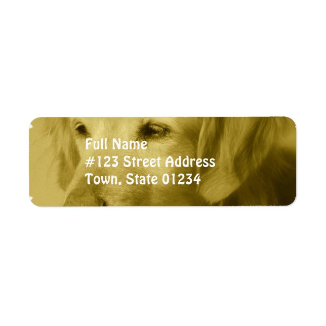 Golden Puppy Mailing Labels (Vorne)