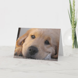 Golden Puppy Miss You Card Karte