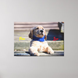 Golden Puppy mit Bandana - Canvas Print Leinwanddruck