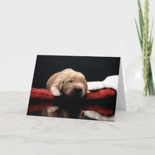 Golden Puppy & Strumpf Feiertagskarte