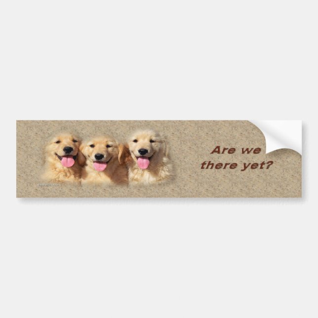 golden_pups3_bumpersticker autoaufkleber (Vorne)