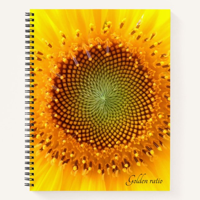 Golden Ratio Sonnenblumen Spiralheft Notebook Notizbuch (Vorderseite)
