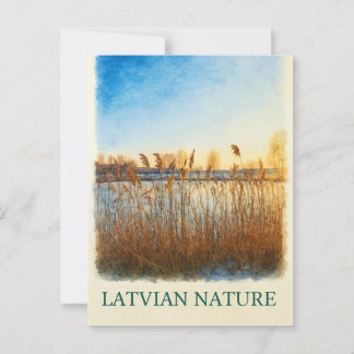 Golden Reeds at Dusk - Lettische Natur Postkarte