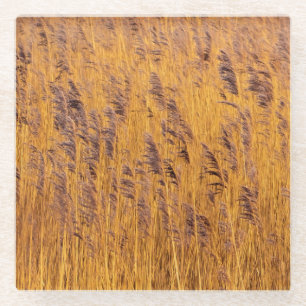 Golden Reeds Untersetzer